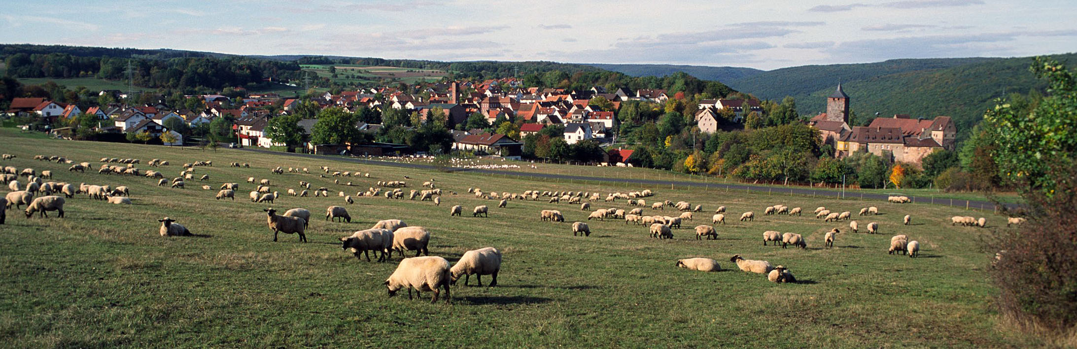 Leider haben wir keinen Alternativtext zu diesem Bild, aber wir arbeiten daran.