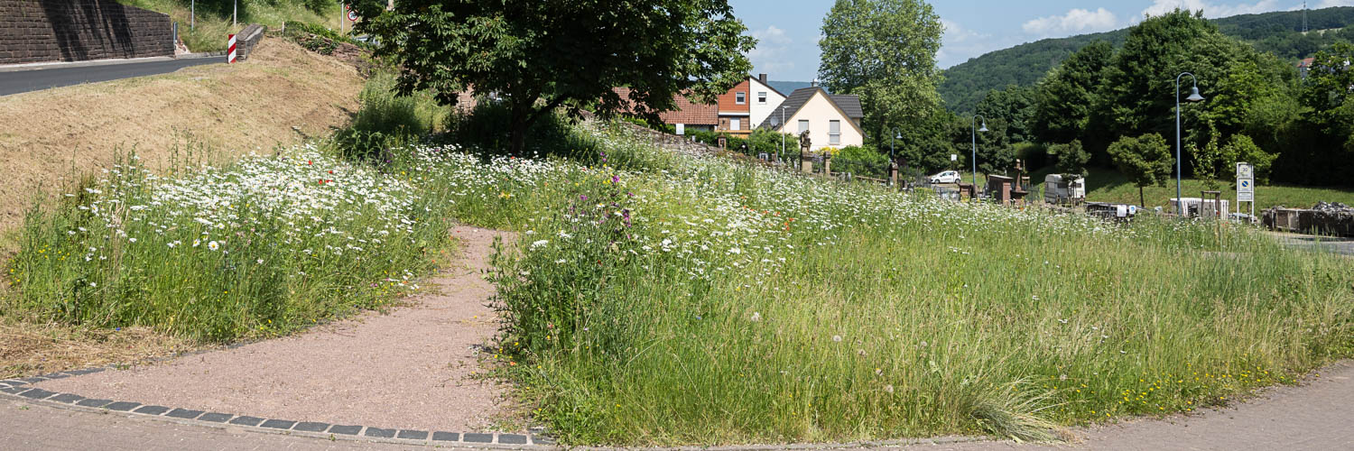 Leider haben wir keinen Alternativtext zu diesem Bild, aber wir arbeiten daran.